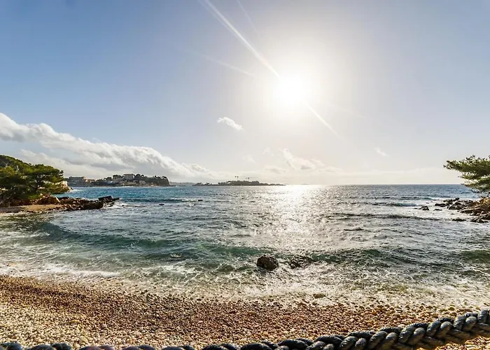 Appartamento A Deux Pas De La Bandol